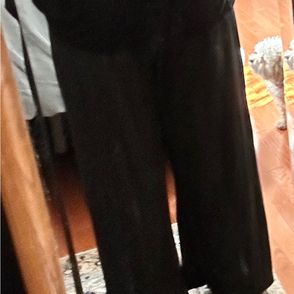 Alembika Comfortable and classy pants NWT - filled with your modern style! - Picture 5 of 6